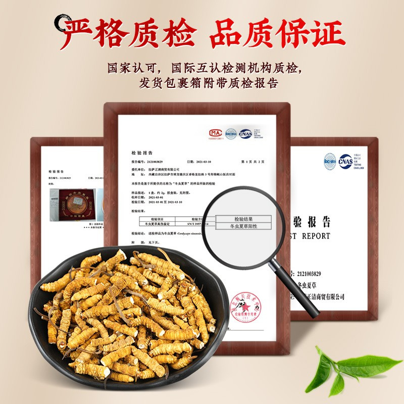 宝丰堂藏冬虫夏草头期干货3根/克10克新鲜干虫草礼盒装