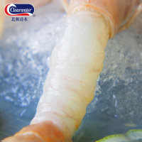 Clearwater/北极清水 英国原装进口挪威海鳌虾盒装 海鲜火锅食刺身料理生鲜食材 海鳌虾500g