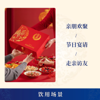 红花郎(10)礼盒 53度酱香型白酒 500ml*2瓶礼盒装 过节送礼 送长辈