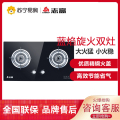 志高(CHIGO) F210D升级款 双灶眼燃气灶（液化气）