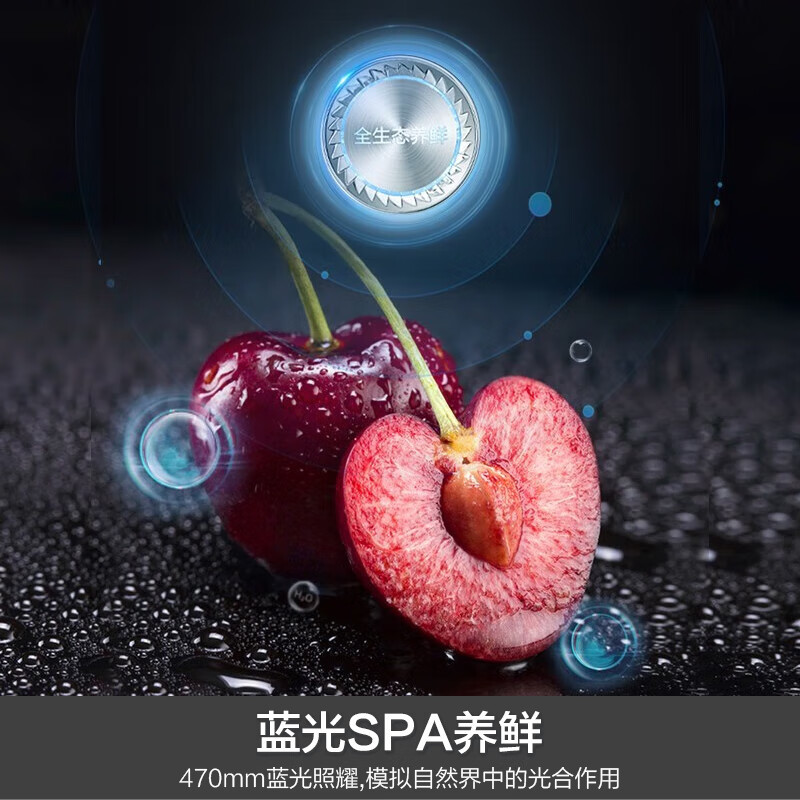 容声(Ronshen)[平嵌系列]502升十字对开门家用智能冰箱一级变频超薄零嵌入底部散热BCD-502WD1FPQ