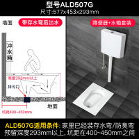 箭牌(arrow)蹲便器套装防臭家用大便池蹲坑蹲厕所洗手间卫生间陶瓷大便器ALD507