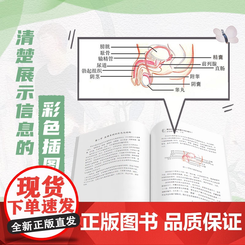 [正版书籍]男孩的青春期性教育 适合11~18岁青春期男孩的家长 性教育专家方刚博士团队全新力作 内容全面专业解答困惑疑高清大图