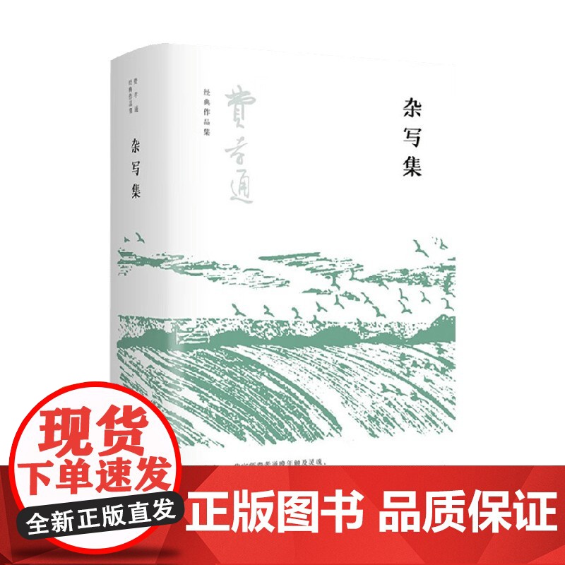杂写集 费孝通 著 社会学高清大图