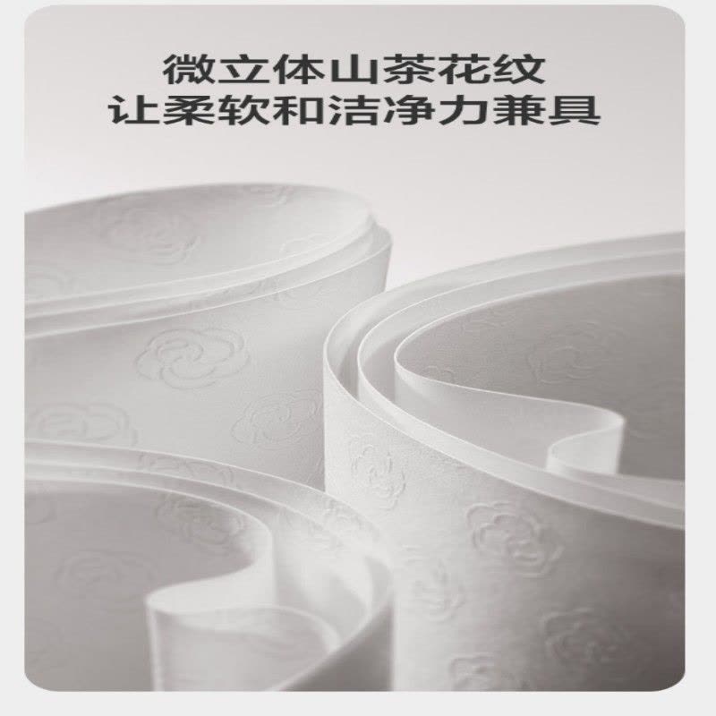 Bc Babycare山茶轻柔婴幼儿湿巾(手口)200*170mm-80抽/包*3包图片