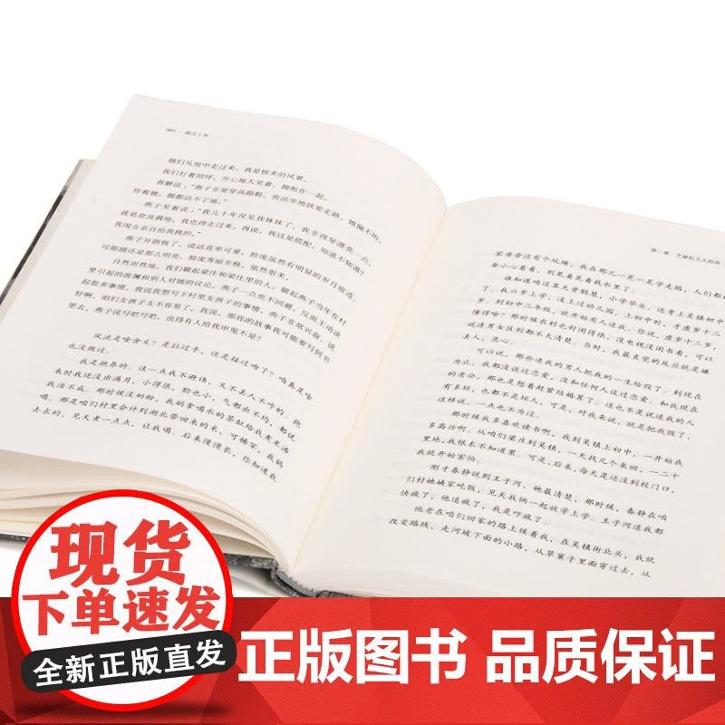梁庄十年 梁鸿 理想国 上海三联书店 正版书籍图片