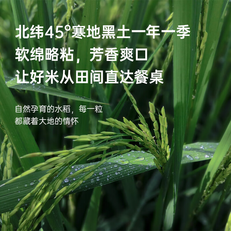 咪然东北大米 辽宁大米新米 5KG