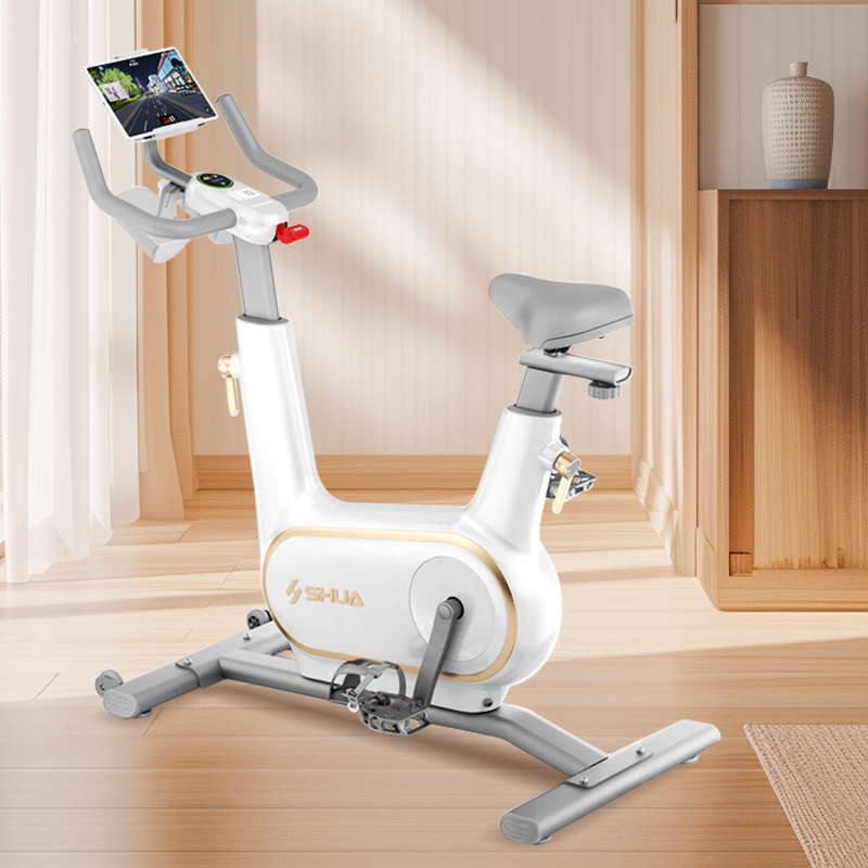 舒华动感单车家用智能静音室内脚踏车运动减肥健身器材精灵B369