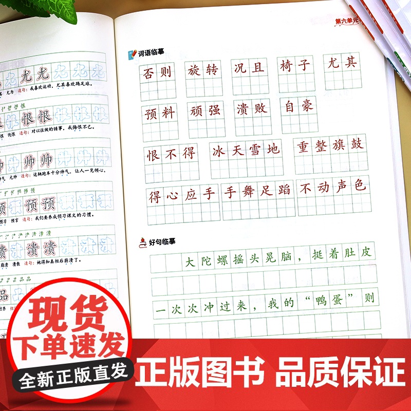 [荣恒]2024秋写好中国字1-9年级上下册小学语文同步练字帖人教版一二三四五六年级七八九初一二三初中生字帖练字小学生专高清大图
