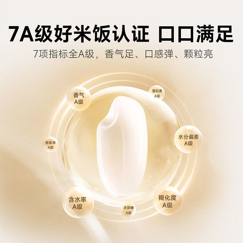 小米(MI)IH电饭煲2 5L 米家智能多功能电饭锅家用人4-7个人煮饭锅煮粥锅 智能预约 不粘锅内胆大容量烧饭图片