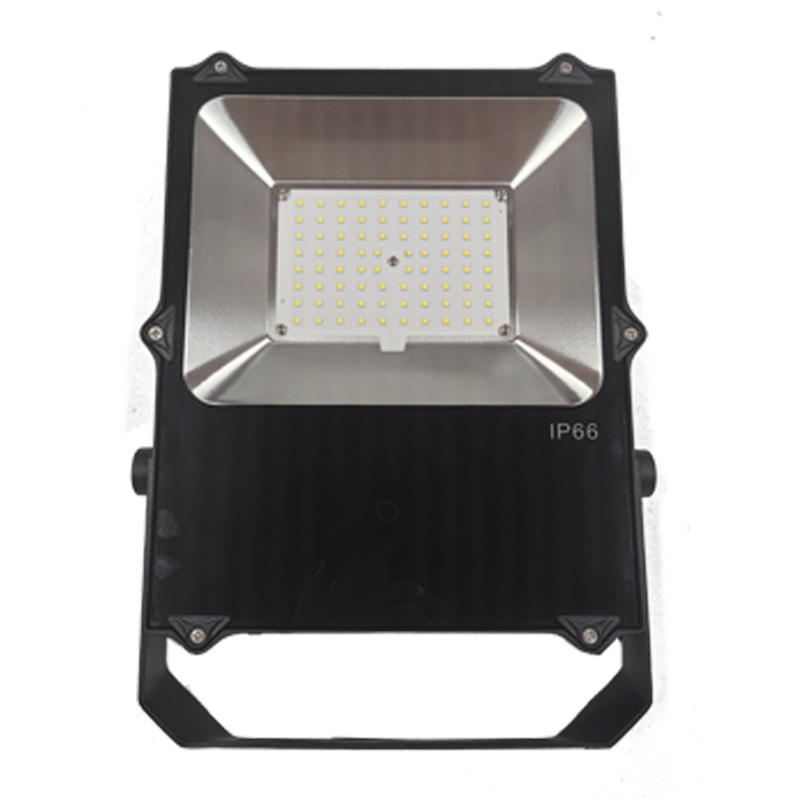 宝富睿光电 BFL3090-100 220V 100W IP66 LED泛光灯 (计量单位:个) 黑色