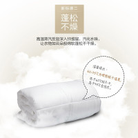 美的（Midea）滚筒洗衣机全自动 8公斤变频洗烘一体机家用 羽绒柔烘 蒸汽洗烘 MD80VT715DS5 双温除菌