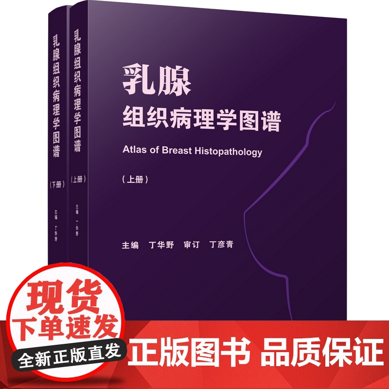 乳腺组织病理学图谱 上下册 乳腺组织学 乳腺疾病 病例讨论 高清图解 北京科学技术高清大图
