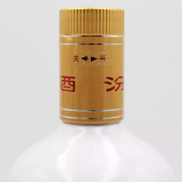 融汇老酒 山西汾酒杏花村 53度汾酒 清香型 瓷瓶汾酒 500mlx2瓶(2019年)