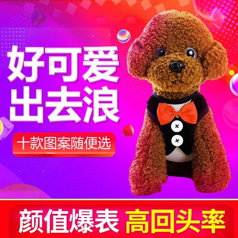 狗狗牵引绳背心式胸背带中小型犬狗链子泰迪比熊遛狗绳子宠物项圈宠物/宠物食品及用品宠物用品宠物出行项圈