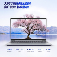 [优惠直降]联想(Lenovo)小新15 i5-1035G1 16G 1T固态 MX350-2G 独立显卡 全面屏 升级定制 15.6英寸 轻薄本游戏本笔记本电脑