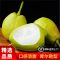 嗨果粒新疆 库尔勒香梨[顺丰] 生鲜 新鲜水果