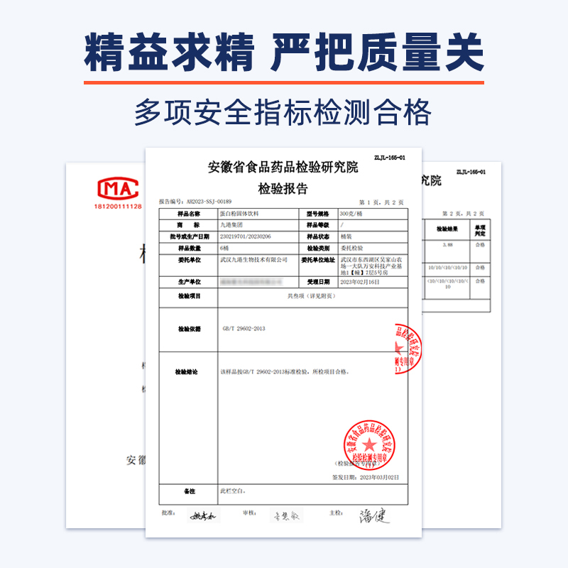 九港集团 高蛋白低脂白芸豆蛋白粉固体饮料 300g/罐