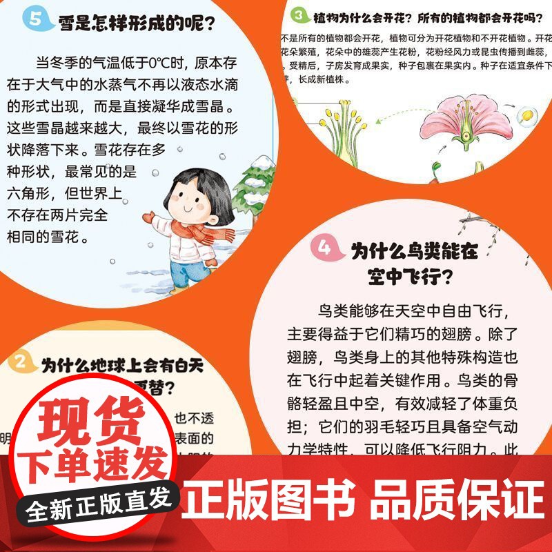 [抖音同款]漫画小学生常考科学知识 985学习法助力孩子科学记忆科学知识必背百科常识中国文化1000问世界文学考点积累素高清大图