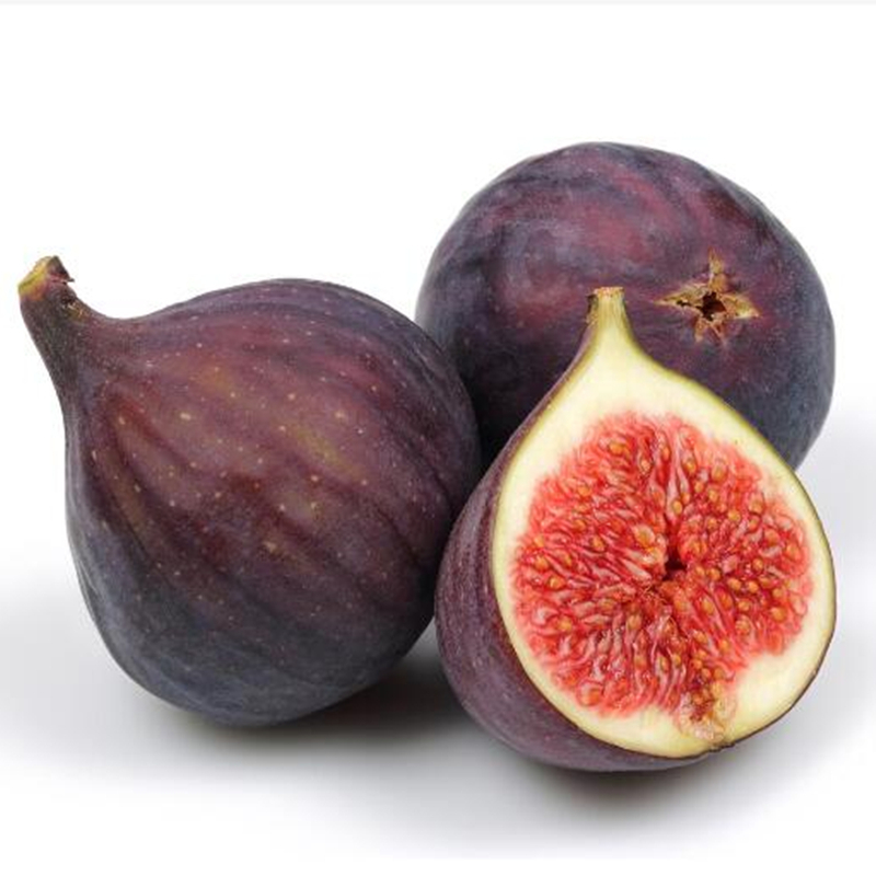 四川红皮无花果1 5kg 紫皮无花果新鲜水果报价 参数 图片 视频 怎么样 问答 苏宁易购