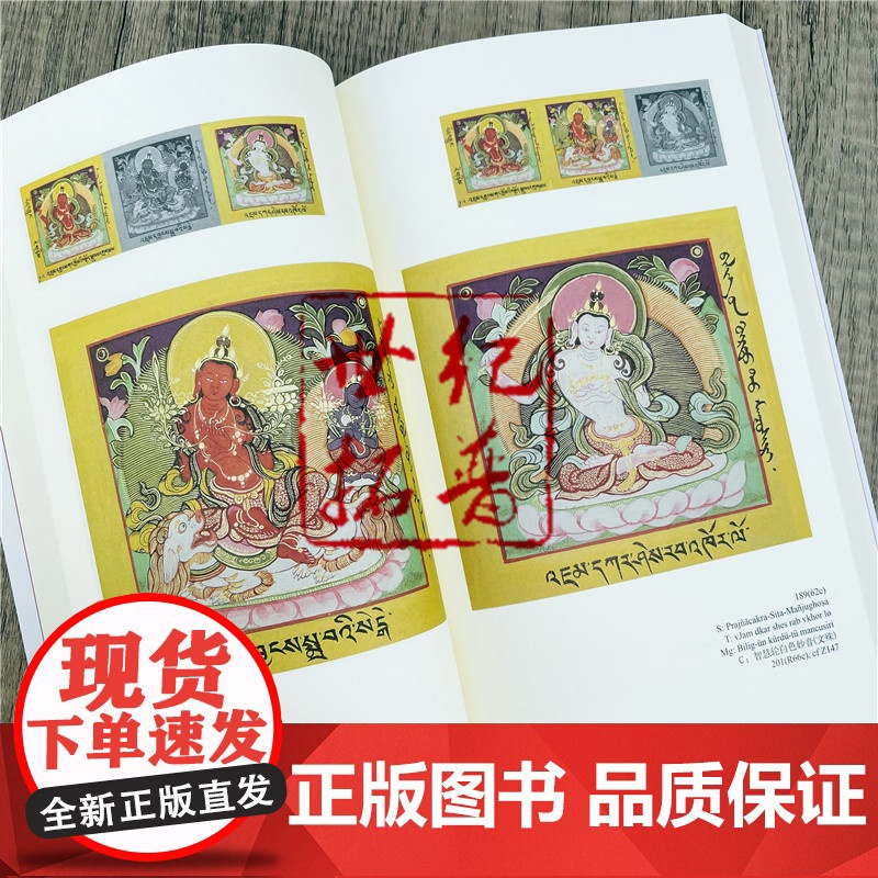 正版 五百佛像集:见即获益 /藏传佛教图像学丛书佛教尊神的图像学研究 哲学宗教宗教佛教书籍 中国藏学出版社高清大图