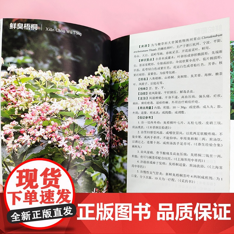 浙江临床常用鲜品中草药 鲜品中草药 临床中草药 中草药辨识 中草药采集 鲜药基础研究制剂工艺及加工技术 鲜药临证参考应用高清大图