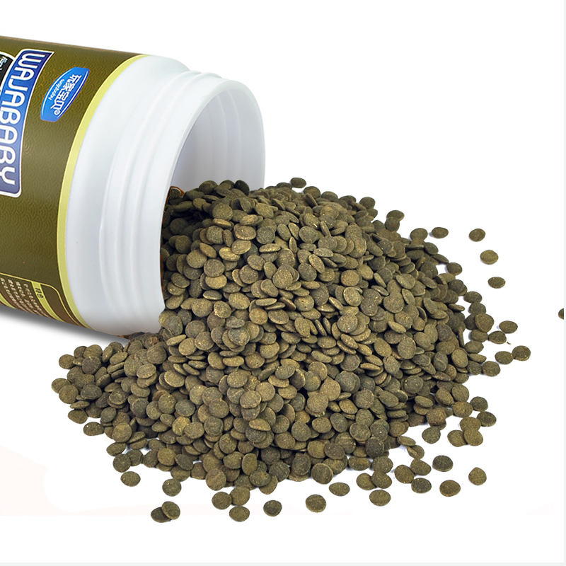 底栖异型饲料 猪鼻龟三间鼠鱼肉食慈鲷沉底缸底鱼六角高清大图