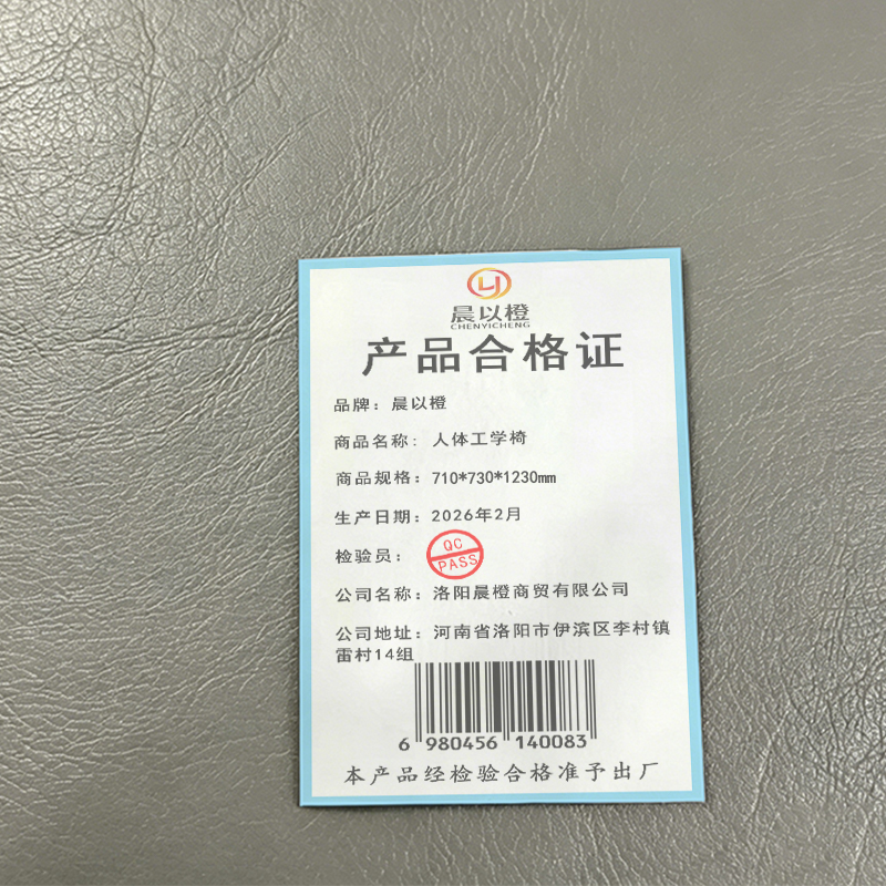 晨以橙 人体工学椅 710*730*1230mm高清大图