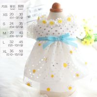 狗狗衣服夏季薄款裙子泡泡雏菊纱裙泰迪比熊猫公主蓬蓬裙宠物衣服 雏菊泡泡纱裙 XS号(约1-3斤穿)具体看尺寸