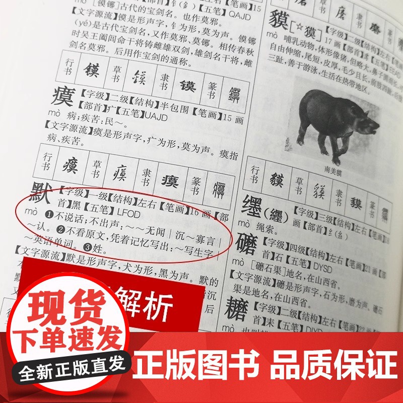 2005新版 新华大字典第3版单色本 小学生初高中生中学通用专用正版工具书 现代汉语古代汉语常用字新华汉语词典高清大图