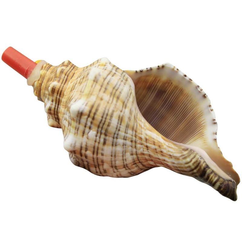 能听大海声音的天然大海螺哨赤旋螺海螺贝壳工艺品儿童玩具口1820cm