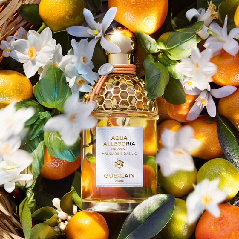 娇兰GUERLAIN 花草水语淡香水[柑橘罗勒]75ml高清大图
