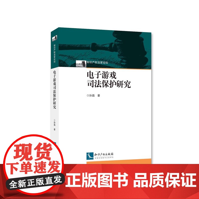 电子游戏司法保护研究 孙磊 9787513053822 知识产权出版社高清大图