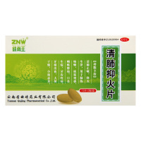 镇南王清肺抑火片24片止嗽降火生津咽喉肿痛肺热咳嗽