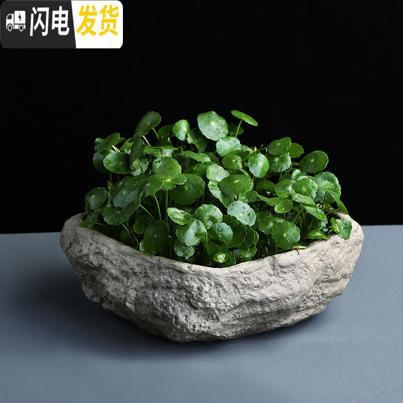 三维工匠铜钱水培水仙花盆仿石头盆景大号水养碗莲个性创意陶瓷无孔 F-石-2小 中等花盆容器