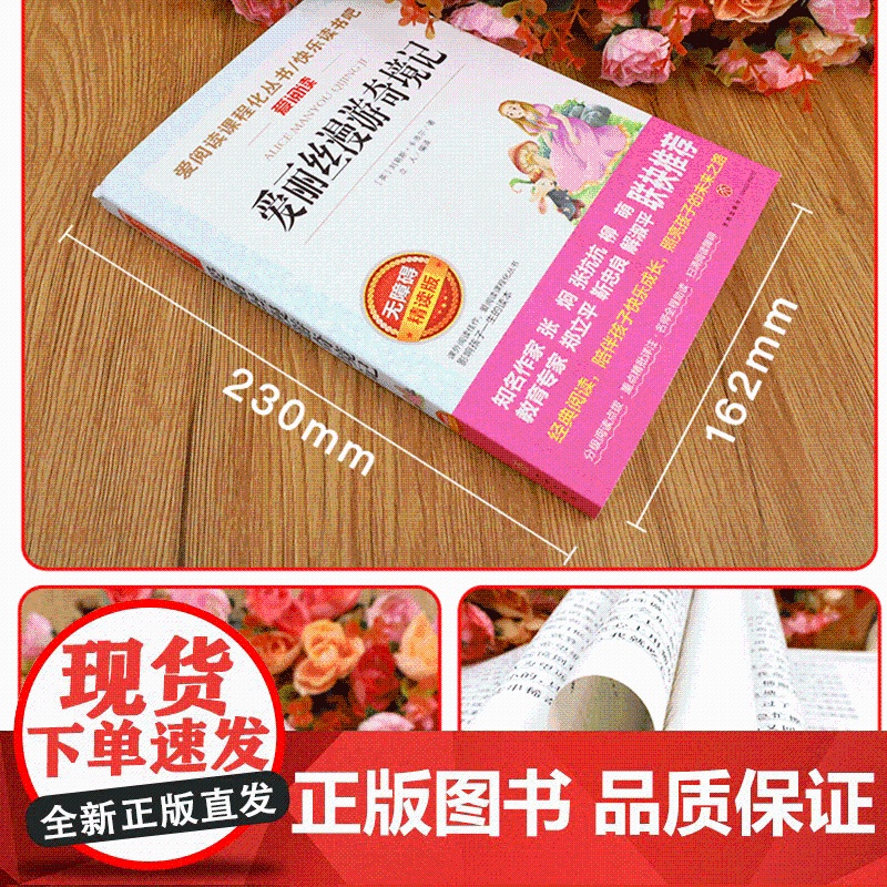 爱丽丝漫游奇境记正版书原著版六年级下册必读的课外书小学生书目阅读书籍6下学期天地出版社梦游仙境书奇遇镜漫游记奇迹艾三四五高清大图