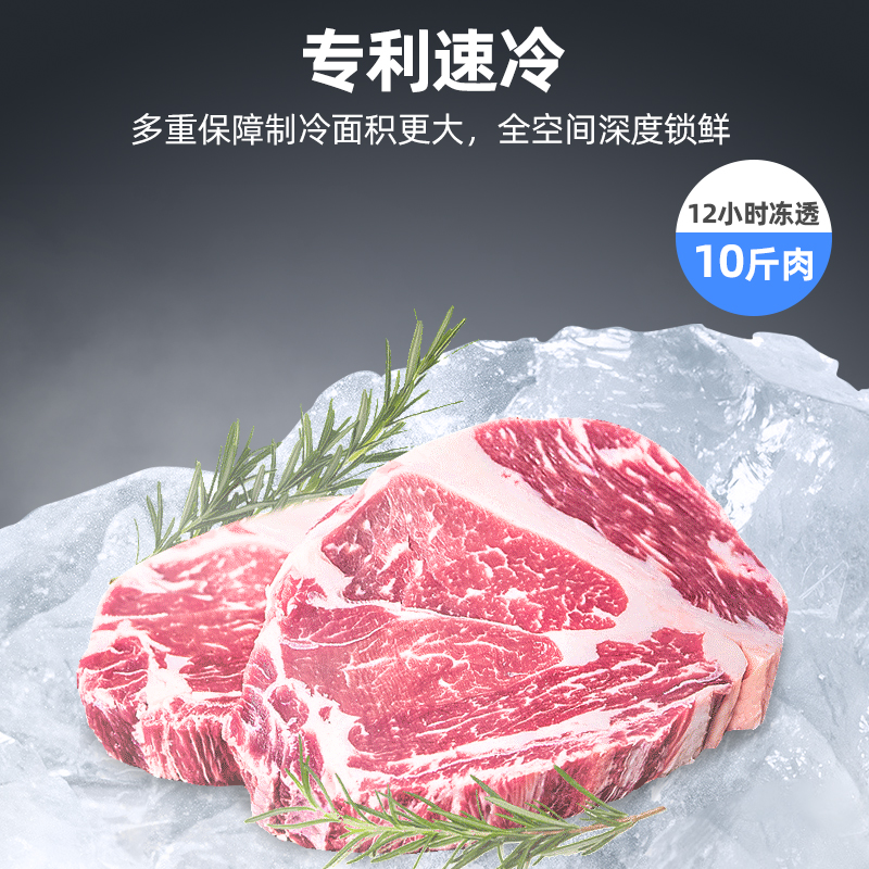 苏宁仓-冰洗 星星(XINGX) 300L 家用冷柜 卧式冷柜 冷藏冷冻转换柜 安全圆角 微霜系统 BD/BC-300R高清大图