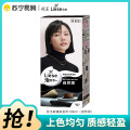 花王莉婕泡沫染发剂108ml-自然黑