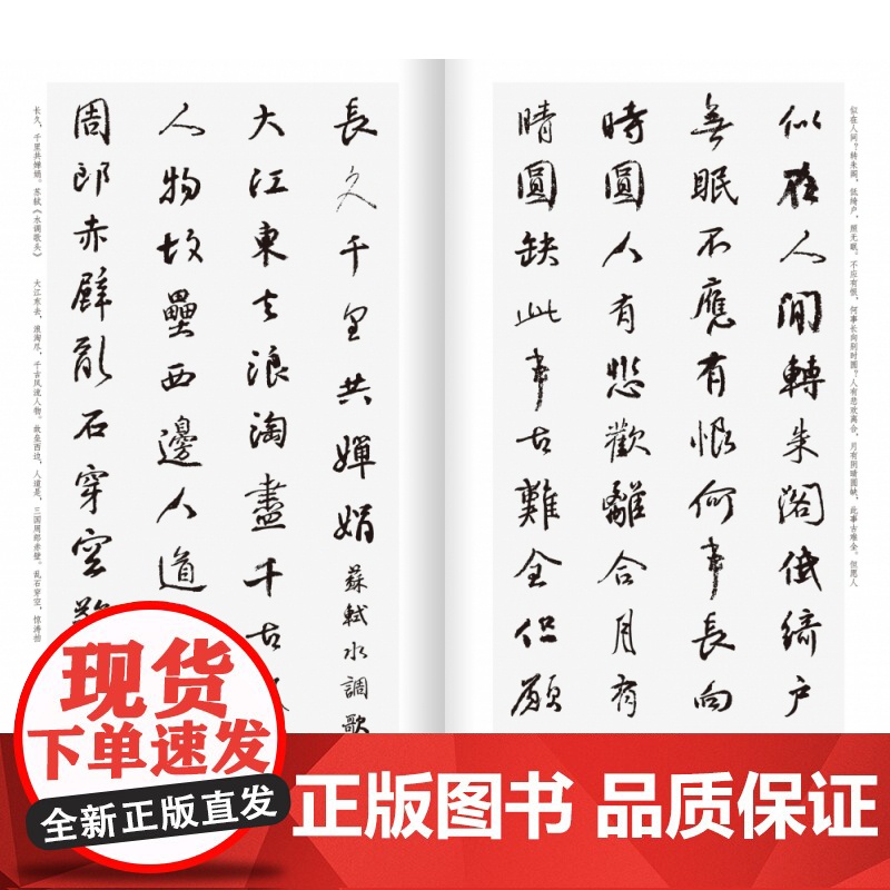 颜真卿行书集字宋词一百首 颜真卿祭侄文稿等集字古诗词作品集临摹教程 唐代行书毛笔书法字帖书法爱好者集字宋词正版图书籍高清大图