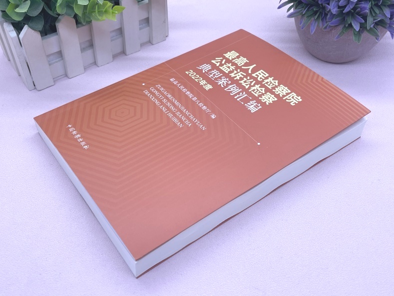 [正版] 2023新书 人民检察院公益诉讼检察典型案例汇编 2022年度 人民检察院第八检察厅 中国检察出版社 978高清大图