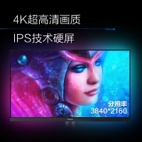 飞利浦(Philips) 278M1R/93 27英寸 4K HDR 广色域 DTS音效 升降底座 流光溢彩 电竞显示器