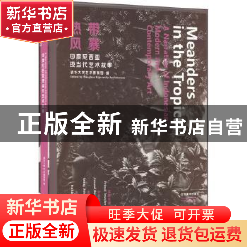 正版 热带风暴:印度尼西亚现当代艺术叙事 清华大学艺术博物馆 编