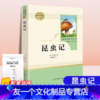 【友一个正版】昆虫记法布尔原著八年级课外名著阅读人民教育出版社初中生8年级完整无删减无障碍阅读经典文学名著人教年
