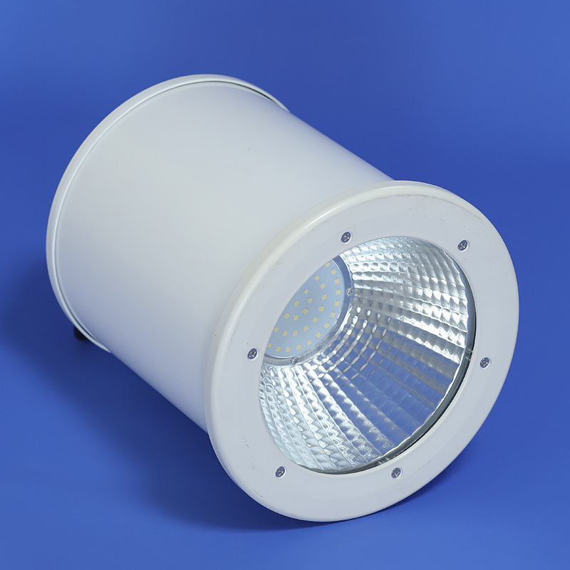 瑞度 LED筒灯 RGF219A 50W -TY