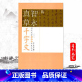 隋智永真草千字文 【正版】满2件减2元隋智永真草千字文历代名家千字文经典法书 旁注简体智永真草千字文历代名家千字文经典法