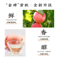 ChaLi茶里金牌蜜桃乌龙茶水果白桃乌龙茶冷泡茶