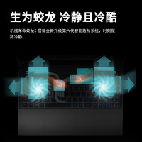 机械革命（MECHREVO）蛟龙5 AMD 15.6英寸游戏本定制笔记本电脑(全新八核R7-5800H 32G 1T+1T固态 RTX3060 6G独显 高色域165Hz 2K屏)