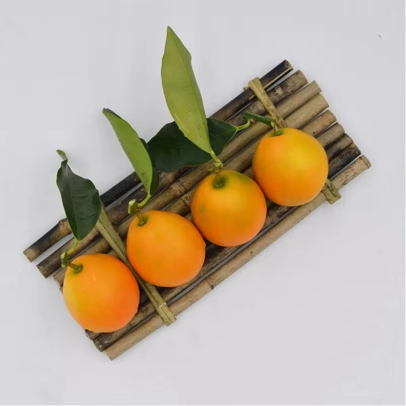 广西冰糖香妃柚脆皮迷你青柚滑皮金桔15kg