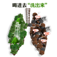胖大海罗汉果润嗓子咽喉茶独立包装30包/带