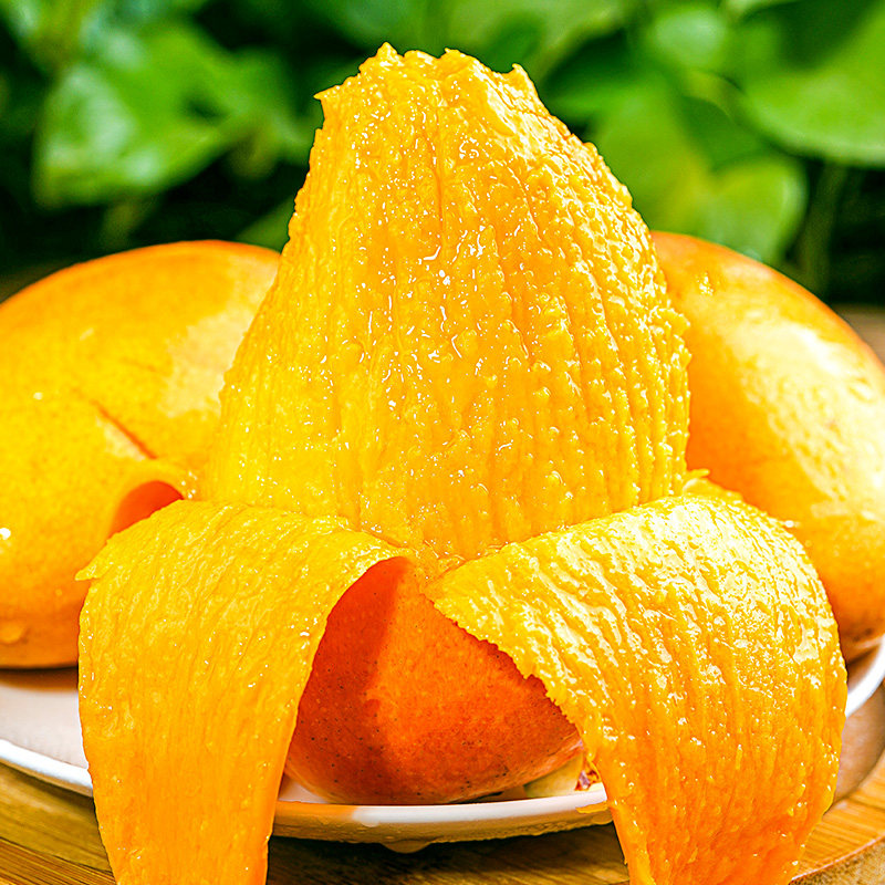 [熊猫鸟]海南小台芒 净重8.5斤 中果 单果80-100g 芒果新鲜水果应当季树上熟整箱现摘甜心芒高清大图